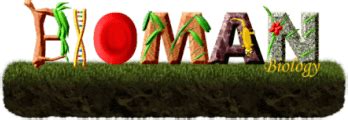 Bioman Biology: The Fun Place to Learn Biology!.